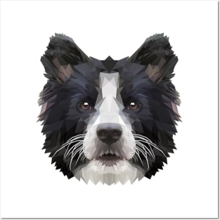 Border collie Posters and Art